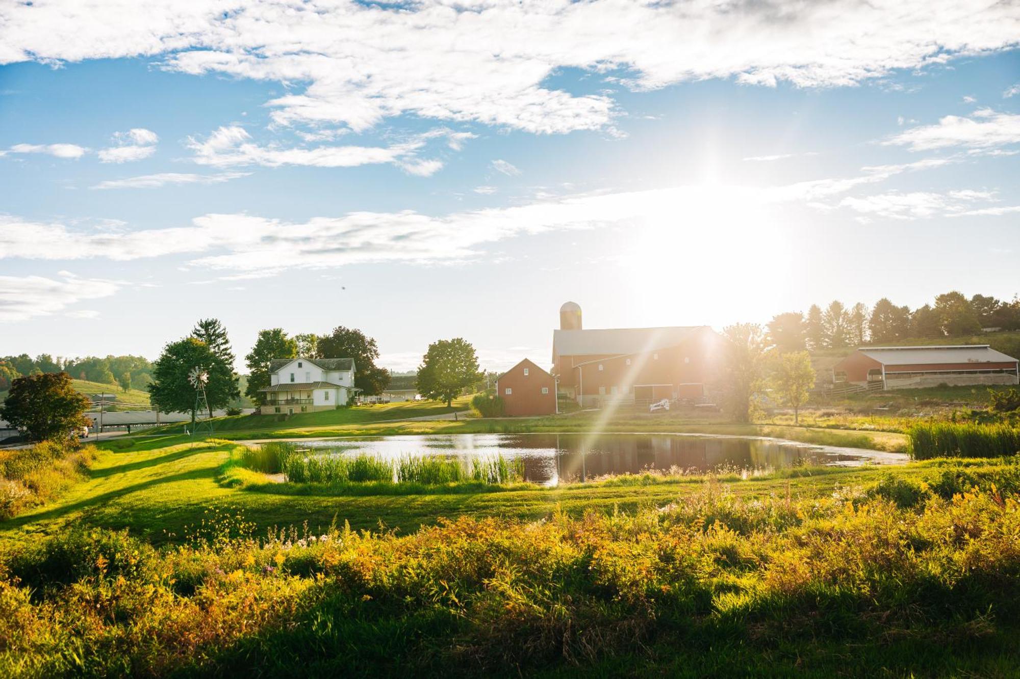 Downtown Escape Great For Large Families & Groups Villa Sugarcreek Exteriör bild
